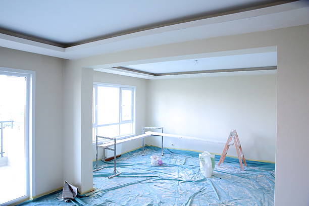 Best Ceiling Drywall Installation  in Dillingham, AK